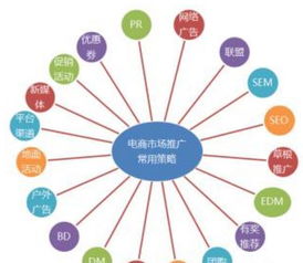互联网软文圣手所志国 以信息技术咨询服务为核心，探索营销新模式扩大市场胜率